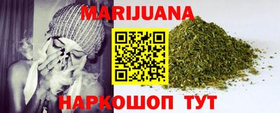сатива Шебекино