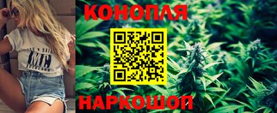 сатива Шебекино