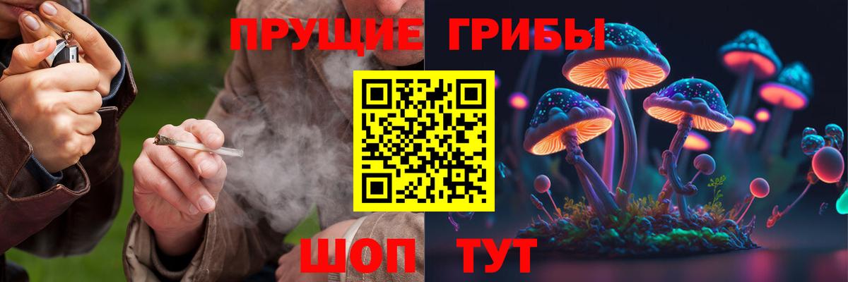 как найти наркотики  Псилоцибиновые грибы Magic Shrooms  Вход с VPN  Советская Гавань 